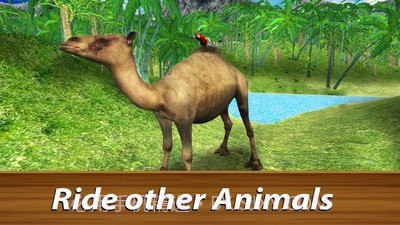 野生鹦鹉生存丛林鸟模拟器截图2 野生鹦鹉生存丛林鸟模拟器截图2