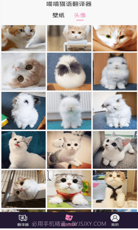 喵喵猫语翻译器截图3 喵喵猫语翻译器截图3