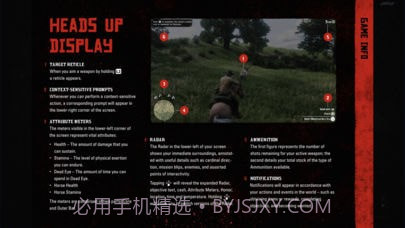 rdr2:companion截图5