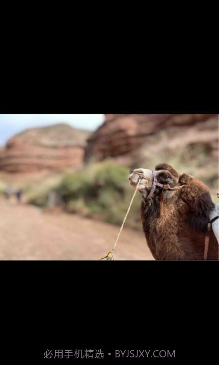 人间花絮截图2 人间花絮截图2