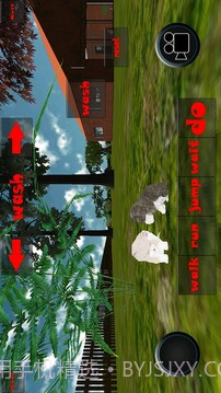 小猫模拟器截图5 小猫模拟器截图5