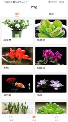 识花神器截图2 识花神器截图2