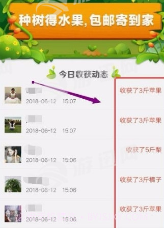 多多果园下载软件截图3 多多果园下载软件截图3