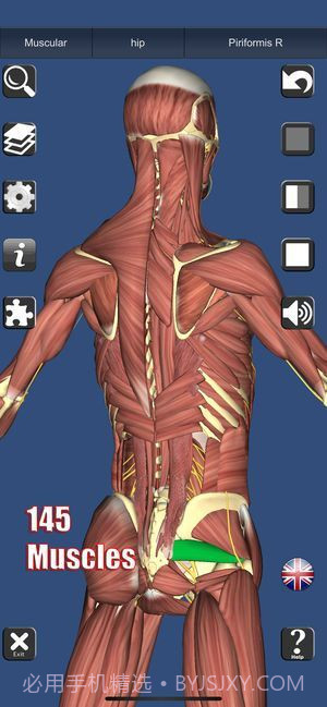 3D解剖截图5