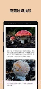 Picture Mushroom蘑菇识别扫一扫截图3