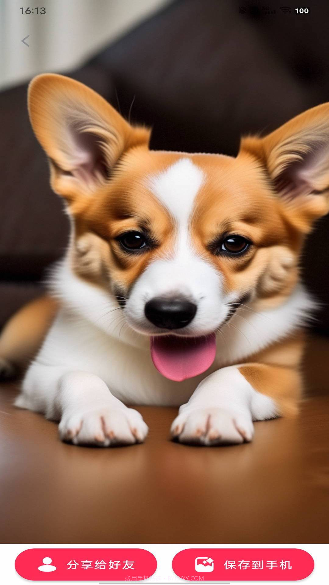 动态DIY壁纸截图1 动态DIY壁纸截图1