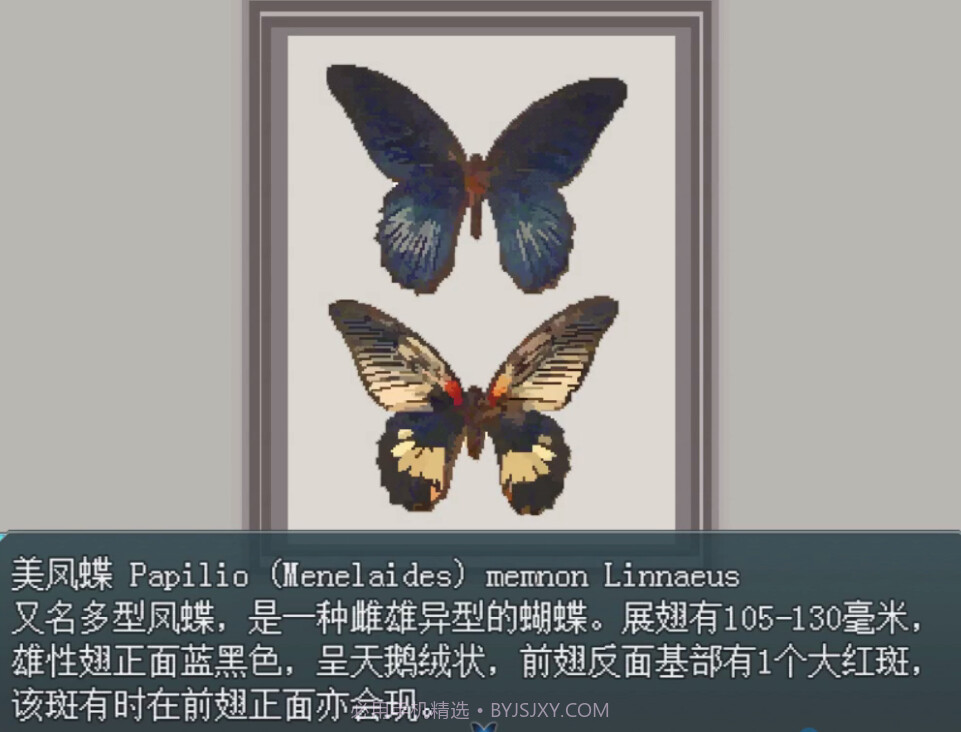 白夜博物馆正版截图5