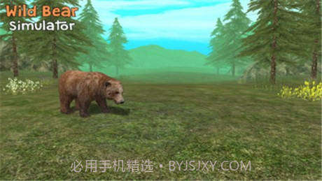 野熊模拟器3D截图5