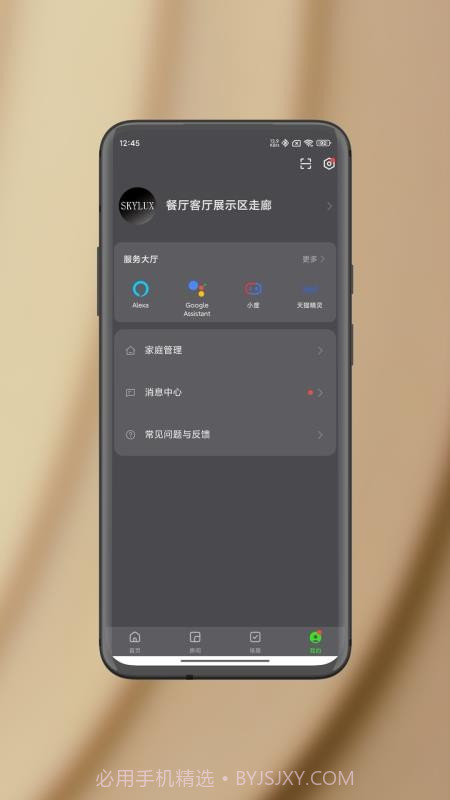 智能照明SK官方正版截图5