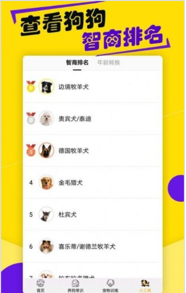 狗语交流翻译器截图1