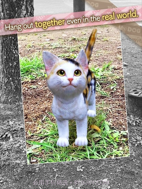 与我的猫咪截图3