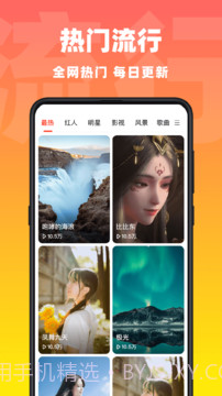 视频壁纸来电秀截图3
